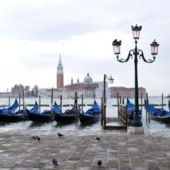 Venice No1